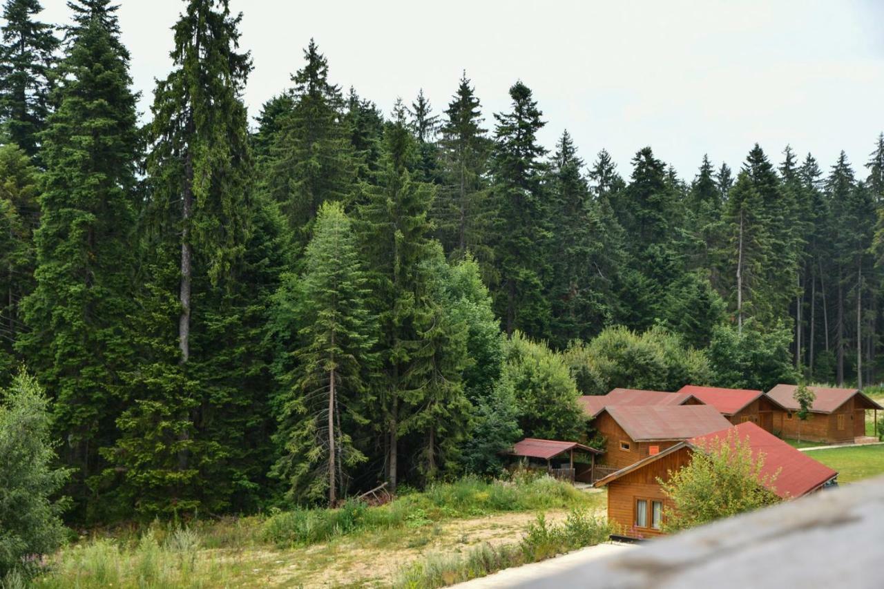 Iglika 2, V9 Apartman Borovec Kültér fotó